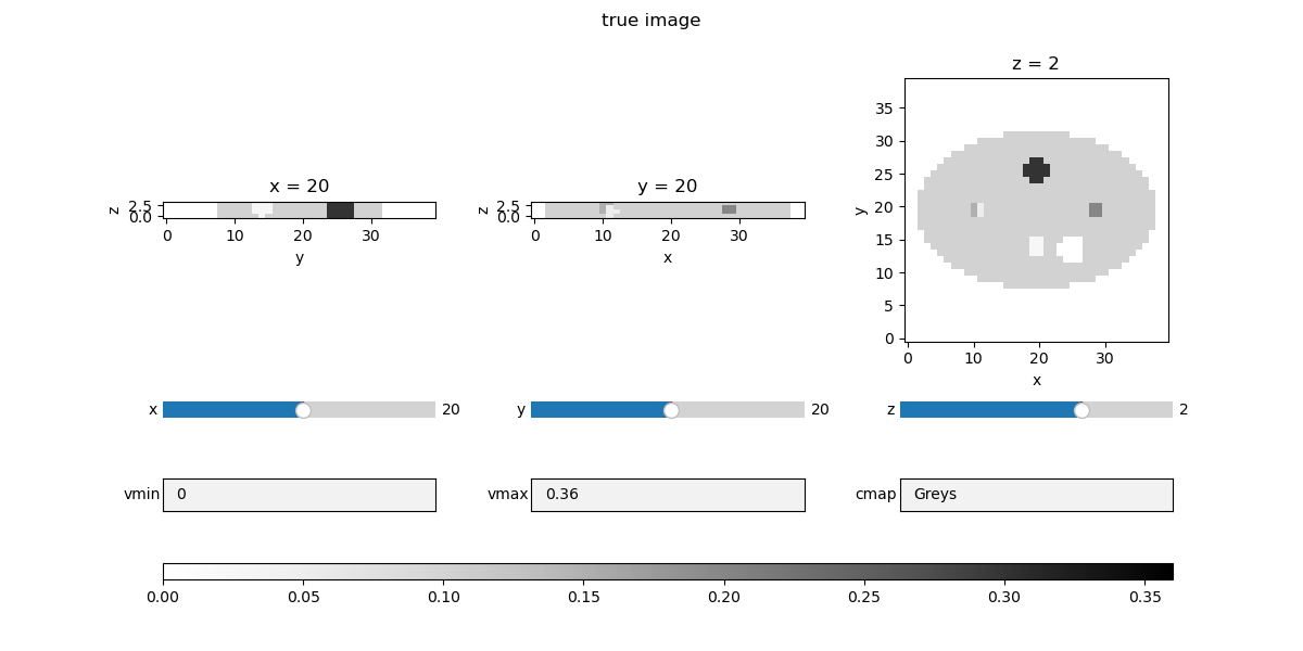 true image, x = 20, y = 20, z = 2