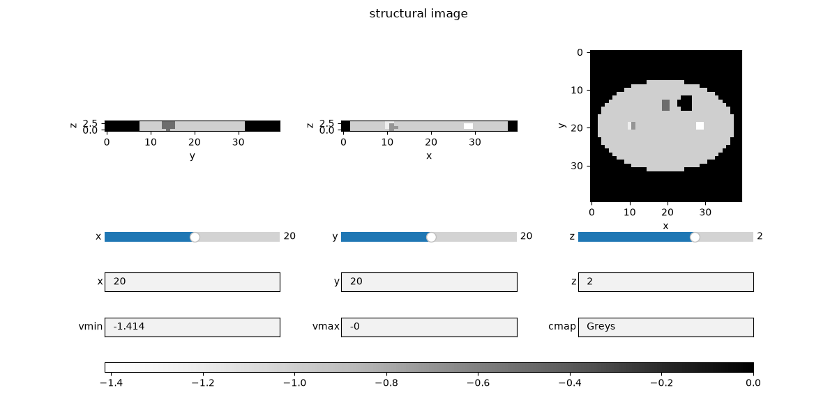 structural image