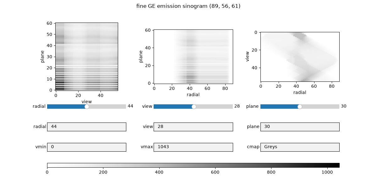 fine GE emission sinogram (89, 56, 61)